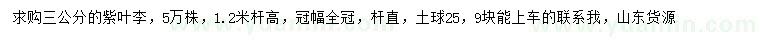 求購3公分紫葉李