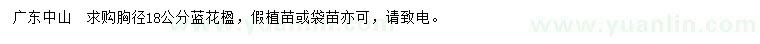 求購(gòu)胸徑18公分藍(lán)花楹