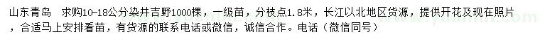 求購10-18公分染井吉野櫻