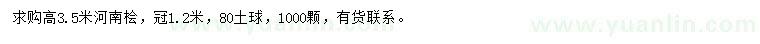 求購(gòu)高3.5米河南檜