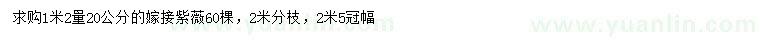 求購1.2米量20公分嫁接紫薇