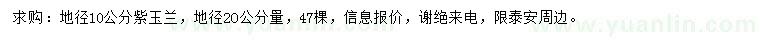 求購20量10公分紫玉蘭