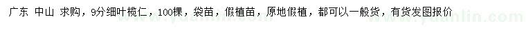 求購胸徑9公分細(xì)葉欖仁