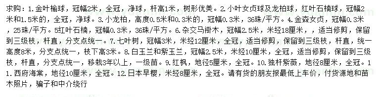 求購金葉榆球、小葉女貞球、龍柏球等