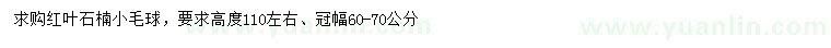 求購(gòu)高110公分紅葉石楠小毛球
