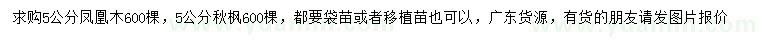 求購(gòu)5公分鳳凰木、秋楓