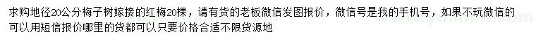 求購地徑20公分紅梅