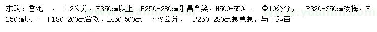 求購香泡、樂昌含笑、楊梅樹等