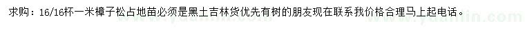 求購1米樟子松
