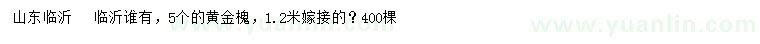 求購5公分黃金槐