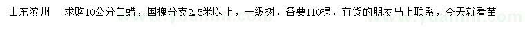 求購10公分白蠟、國槐
