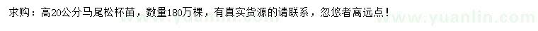 求購(gòu)高20公分馬尾松