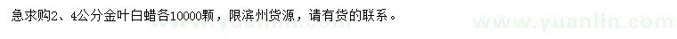 求購2、4公分金葉白蠟