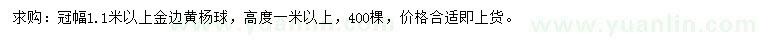 求購冠幅1.1米以上金邊黃楊球