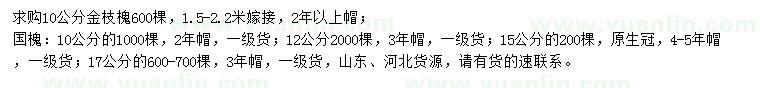 求購10公分金枝槐、10、12、15、17公分國槐