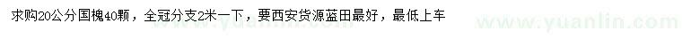 求購20公分國槐