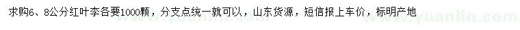 求購6、8公分紅葉李
