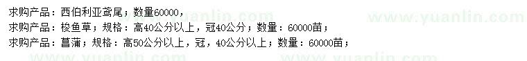 求購(gòu)西伯利亞鳶尾、梭魚草、菖蒲