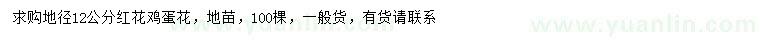 求購地徑12公分紅花雞蛋花