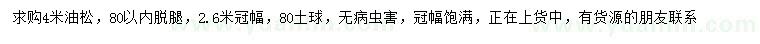 求購4米油松