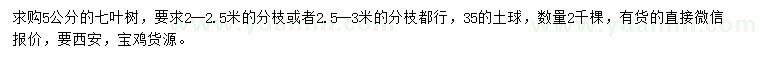 求購5公分七葉樹