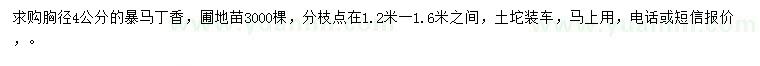 求購(gòu)胸徑4公分暴馬丁香