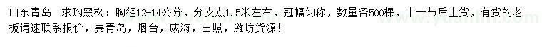 求購(gòu)胸徑12-14公分黑松