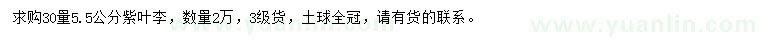 求購30量5.5公分紫葉李