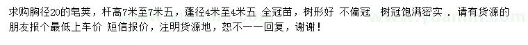 求購(gòu)胸徑20公分皂莢樹(shù)