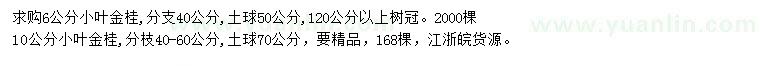 求購6、10公分小葉金桂