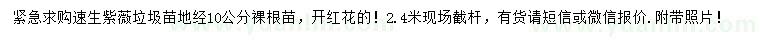 求購(gòu)地徑10公分速生紫薇