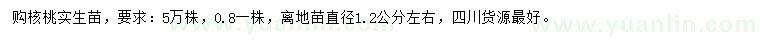 求購直徑1.2公分核桃實生苗