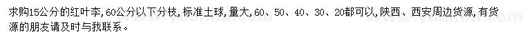 求購15公分紅葉李