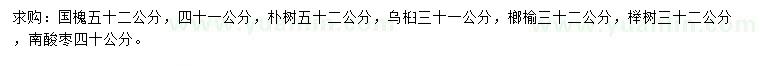 求購國槐、樸樹、烏桕等