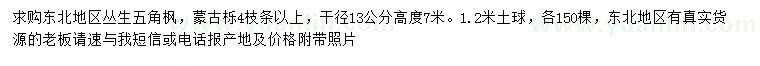 求購高7米叢生五角楓、蒙古櫟