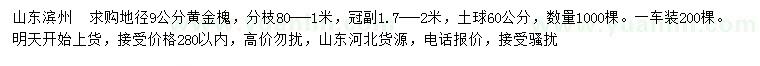 求購(gòu)地徑9公分黃金槐