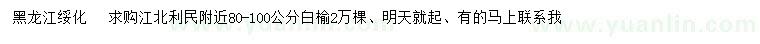 求購80-100公分白榆
