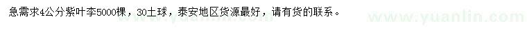 求購4公分紫葉李