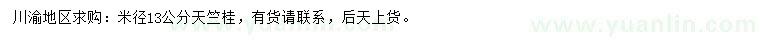 求購米徑13公分天竺桂