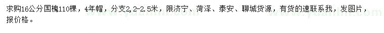 求購16公分國槐
