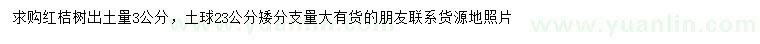 求購3公分紅桔樹