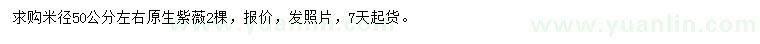 求購米徑50公分左右原生紫薇
