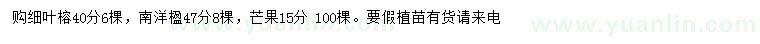 求購細葉榕、南洋楹、芒果樹等