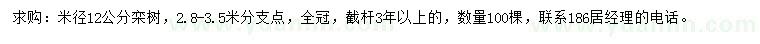 求購米徑12公分欒樹
