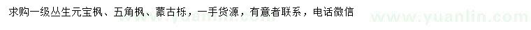 求購(gòu)叢生元寶楓、五角楓、蒙古櫟