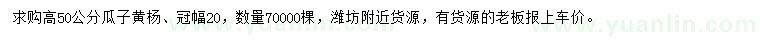 求購高50公分瓜子黃楊