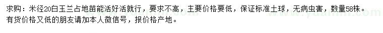 求購米徑20公分白玉蘭