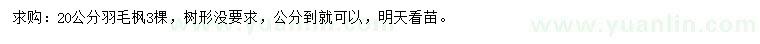 求購20公分羽毛楓