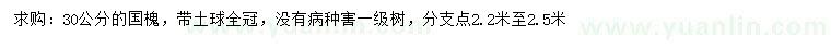 求購30公分國槐