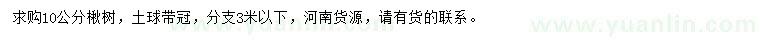求購(gòu)10公分楸樹(shù)